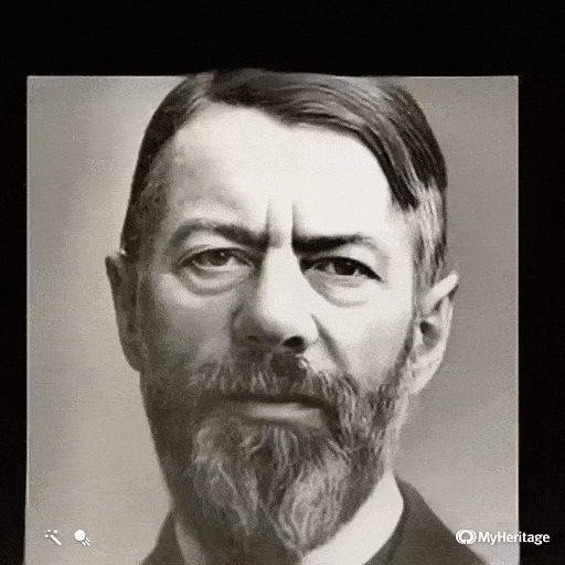 Max Weber animated